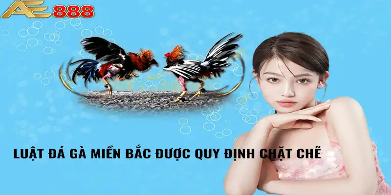 Luật đá gà miền Bắc được quy định chặt chẽ