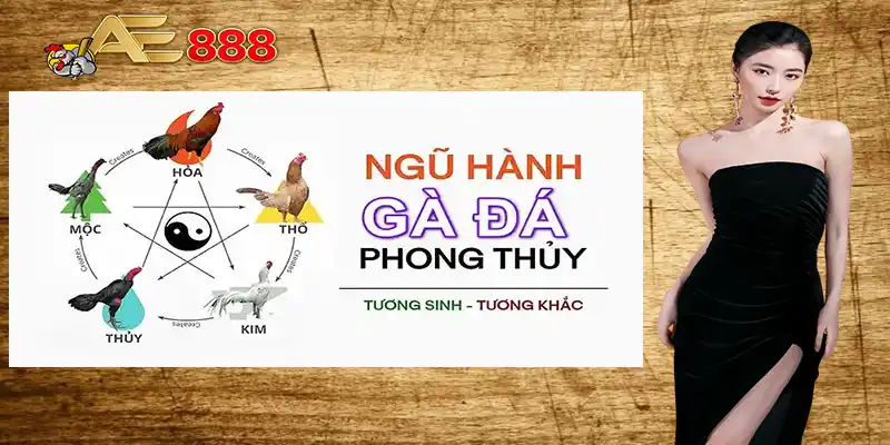 Ngũ hành phong thủy của gà đá