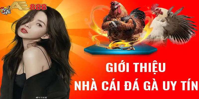 Giới thiệu nhà cái đá gà uy tín