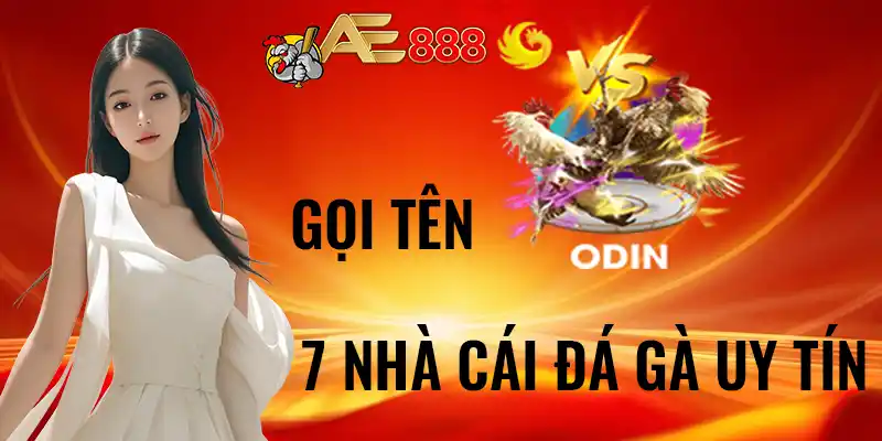 nhà cái đá gà uy tín ae888